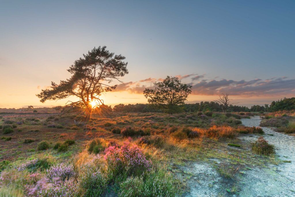 AAF9691 Betere Landschapsfoto