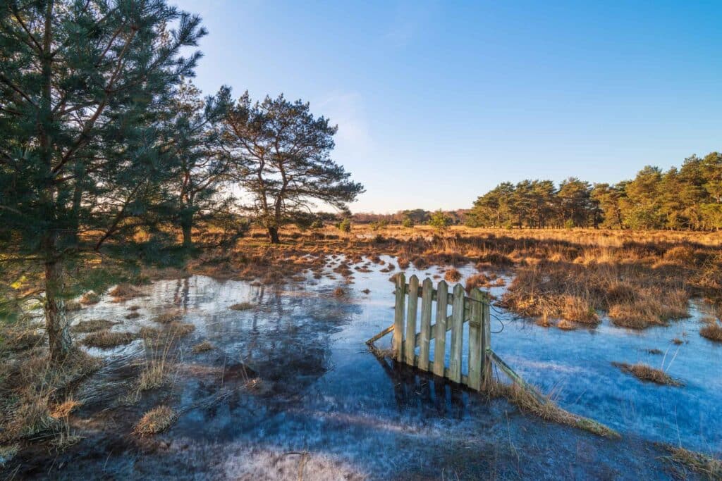 AAJ2251 1 Betere Landschapsfoto