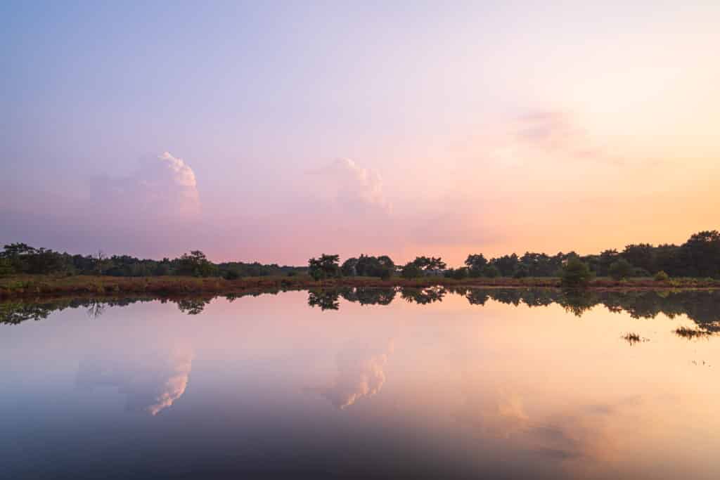 Een ven op de Kalmthoutse heide.