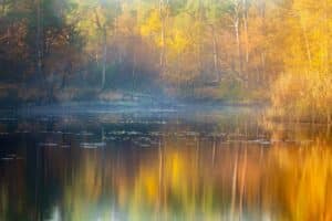 Herfstfotografie in Nederland.