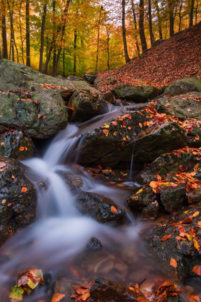 Herfstfotografie in de Ardennen.